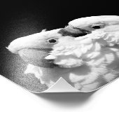 Impression Photo Paire de cocktails parapluies (Coin)