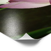 Impression Photo Paire de fleurs de Lotus II (Coin)