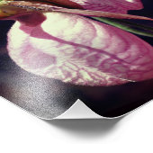 Impression Photo Paire d'orchidée rose sauvage Paire d'orchidée Gro (Coin)