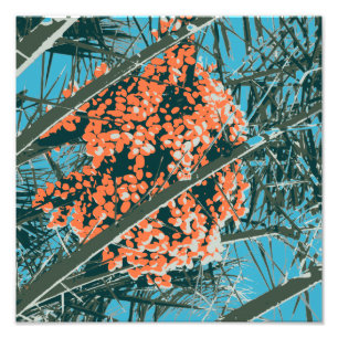 Impression Photo Palm Springs 6 Colour Palm Berries 6A