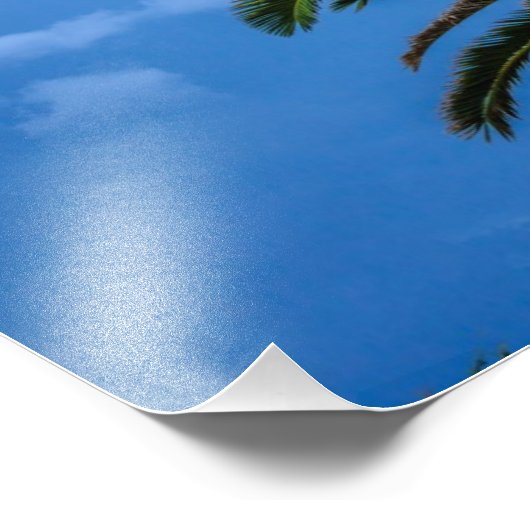 Impression photo Palm Tree (Coin)