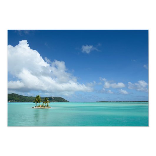 Impression Photo Palmier dans la lagune de Bora Bora (Devant)