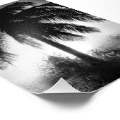 Impression Photo Palmier Dans Une Tempête (Coin)