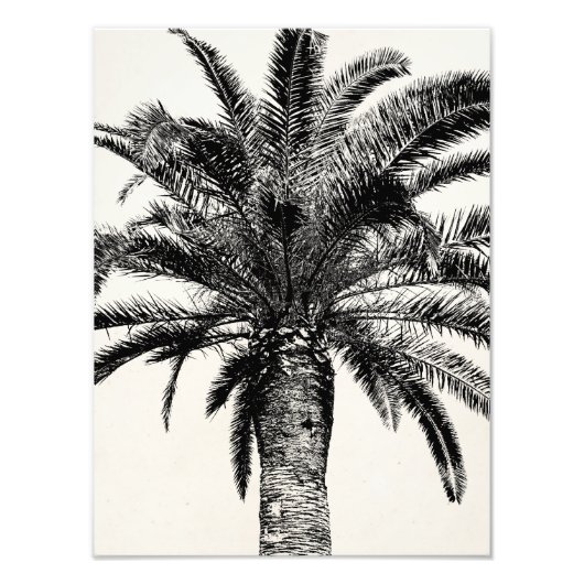 Impression Photo Palmier de l'île tropicale rétro en noir et blanc (Devant)