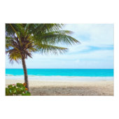 Impression Photo Palmier sur la plage (Devant)