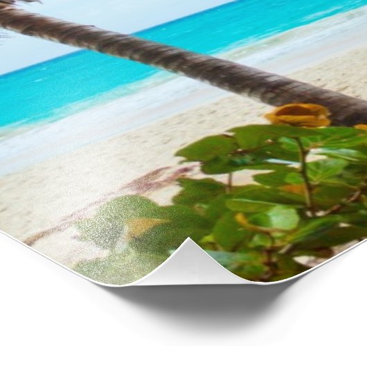 Impression Photo Palmier sur la plage (Coin)