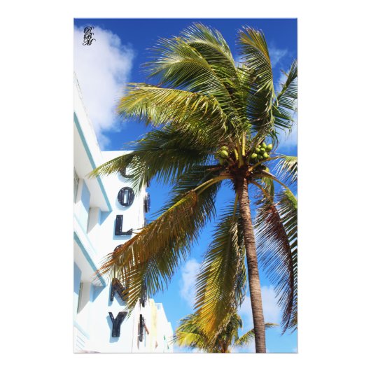 Impression Photo Palmier sur Miami Beach (Devant)