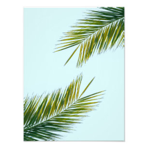 Impression Photo Palmier Vert Tropical sur Fond Bleu Clair