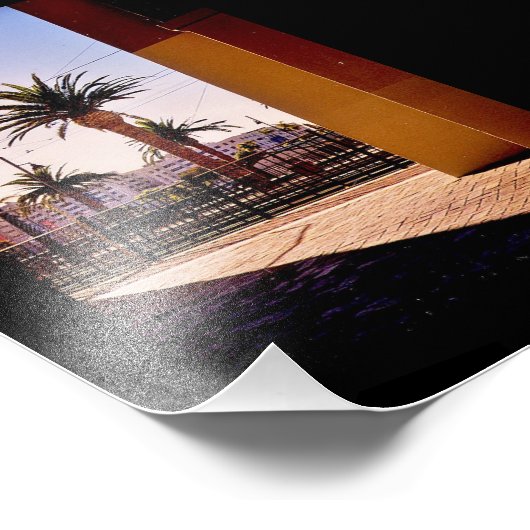 Impression Photo Palmiers (Coin)