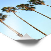 Impression Photo Palmiers de Californie à l'heure d'or (Coin)