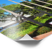 Impression Photo Palmiers de Floride (Coin)