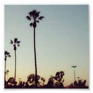 Impression Photo Palmiers et coucher du soleil