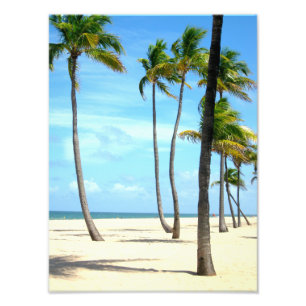 Impression Photo Palmiers grands sur la plage