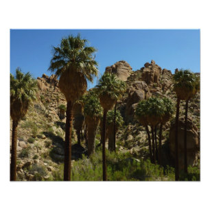 Impression Photo Palms perdus Oasis I au parc national de Joshua Tr