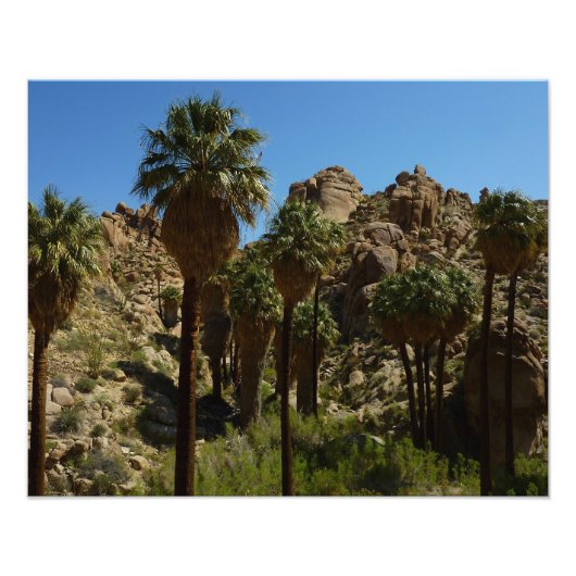 Impression Photo Palms perdus Oasis I au parc national de Joshua Tr (Devant)