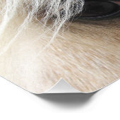 Impression Photo Palomino (Coin)