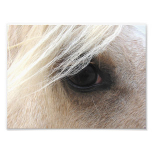 Impression Photo Palomino