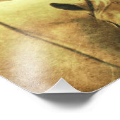 Impression Photo Palomino occidental (Coin)