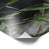 Impression Photo Panda géant (Coin)