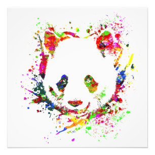 Impression Photo Panda Ours Animal Sauvage Forêt Jungle Chine Bambo