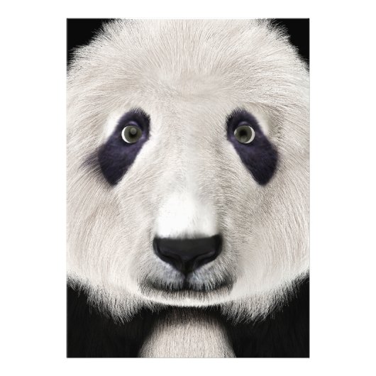 Impression Photo Panda roux (Devant)