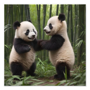 Impression Photo Pandas Bébés En Jeu Dans Une Forêt De Bambou,
