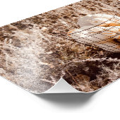 Impression Photo Panier de récolte de Citrouilles agricoles (Coin)