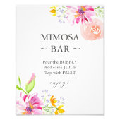 Impression Photo Panneau de signalisation du bar Mimosa Baby In Blo (Devant)