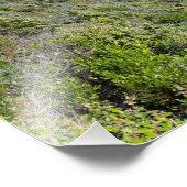 Impression Photo Panorama Sud-Australien (Coin)