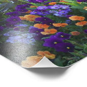 Impression Photo Pansies et tulipes (Coin)