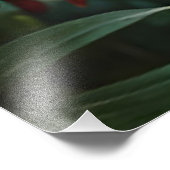 Impression Photo Panthère noire - Jaguar dans la Jungle Fleurs roug (Coin)