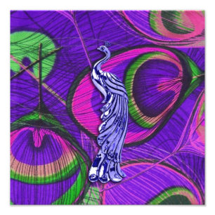 Impression Photo Paon rose et pourpre