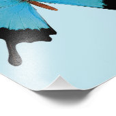 Impression Photo Paon Royal (Coin)