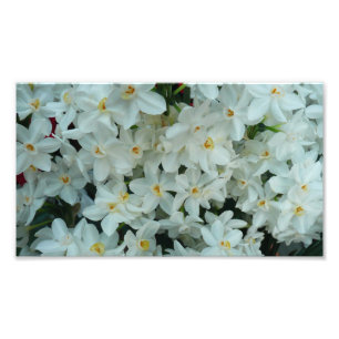 Impression Photo Paperwhite Narcissus Fleurs blanches délicates