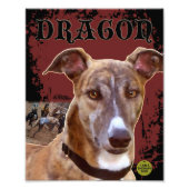 Impression Photo Papier gris (Devant)