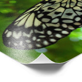 Impression Photo Papier papillon (Coin)