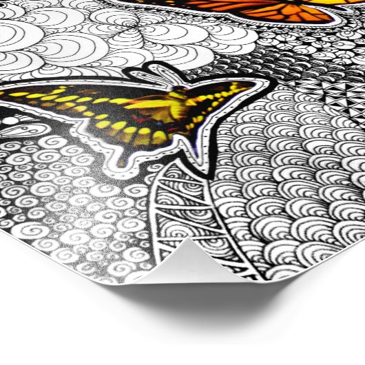 Impression photo Papillon (Coin)