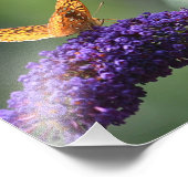 Impression photo papillon (Coin)