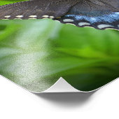 Impression photo papillon (Coin)