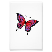 Impression Photo Papillon (Devant)