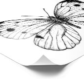 Impression Photo Papillon à chou (Coin)