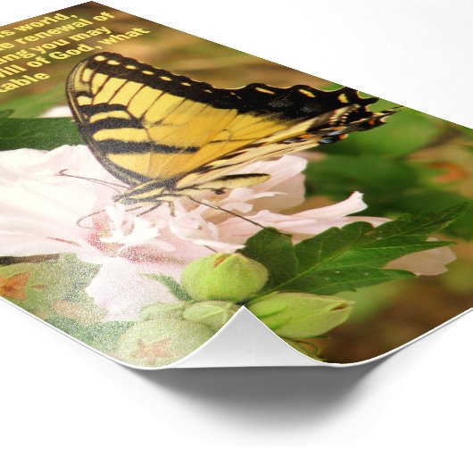Impression Photo Papillon avec Romans 12:2 (Coin)