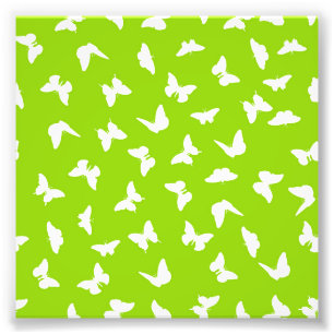 Impression Photo Papillon blanc motif esthétique sur fond vert