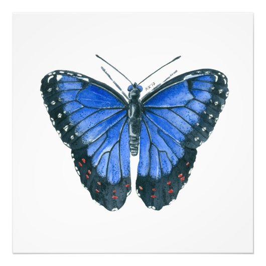 Impression Photo Papillon bleu Morpho aquarelle peinture (Devant)