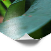 Impression Photo papillon coloré dans le jardin (Coin)