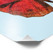 Impression Photo Papillon Coq Rouge (Coin)