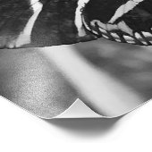 Impression Photo Papillon de charme noir et blanc (Coin)