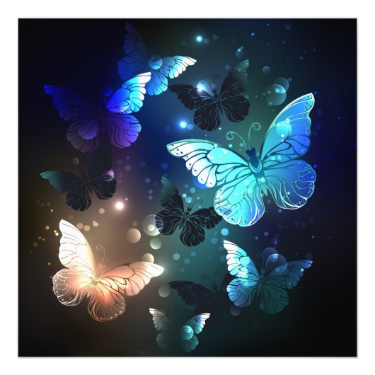 Impression Photo Papillon de nuit (Devant)