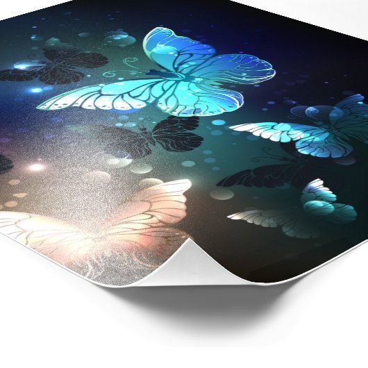 Impression Photo Papillon de nuit (Coin)