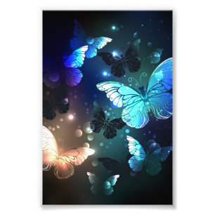 Impression Photo Papillon de nuit